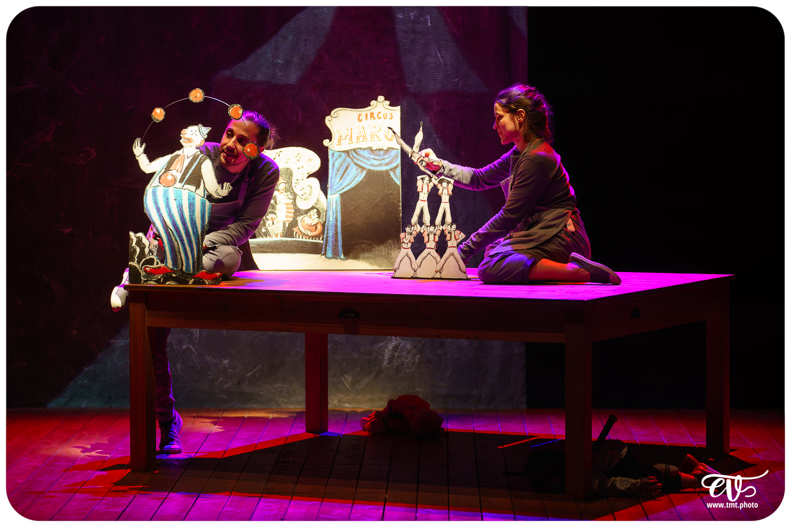 LA TRISTESSE DE L'ELEPHANT (CIE DES RIVES DE L'ILL)